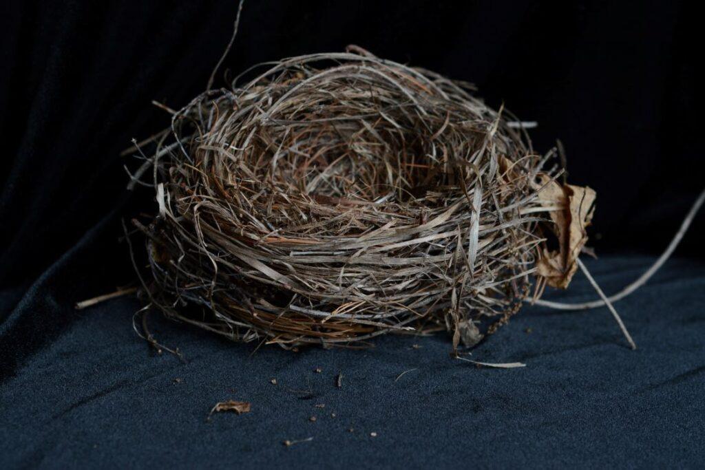 There are some great ways to combat the lonely feelings of empty nest syndrome.