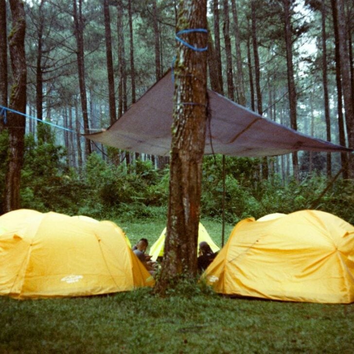 100 Ideas for the Best Teenage Bucket List Summer